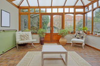 free Tifty conservatory quotes